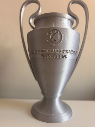 Printed uefa champions - printed,